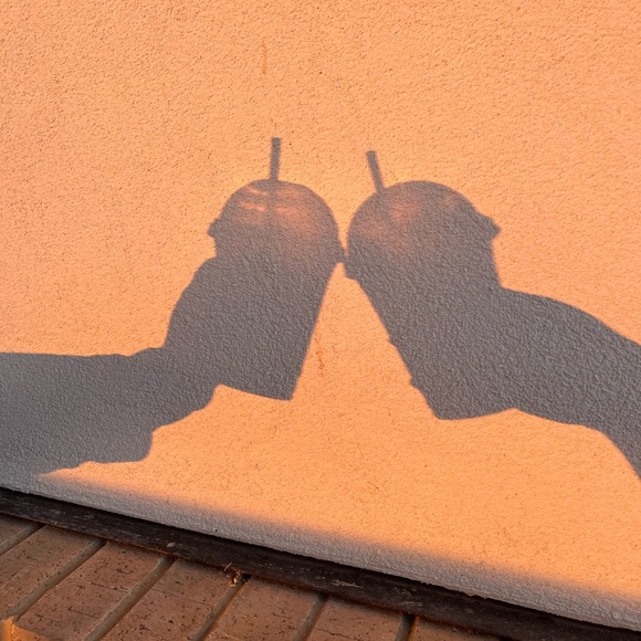 Meet your Posher, Gracie - Picture 2 of 2